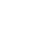 durability icon
