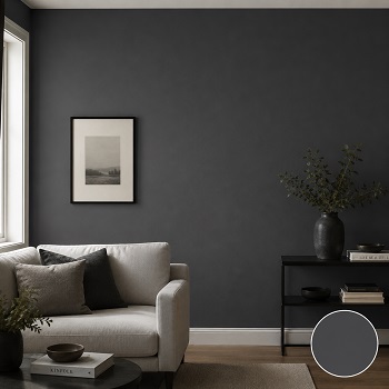 Charcoal Gray
