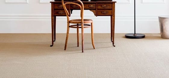 Beige ribbed sisal-style flatweave carpet in study room