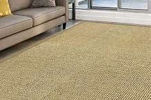 Beige sisal weave carpet in living room