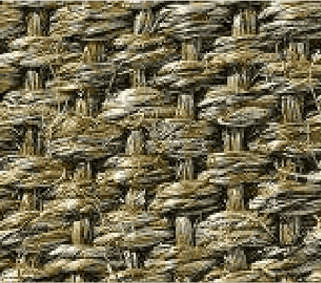 MS-Sisal-KOM-011