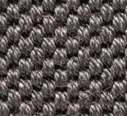 MS-Sisal-Tigra 9004