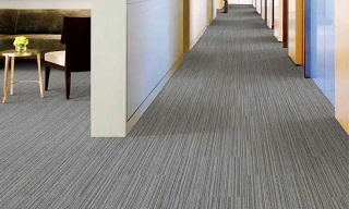 Monolithic Carpet tiles pattern in gallery