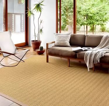 Natural Sisal Fiber Rug in Abu Dhabi living room