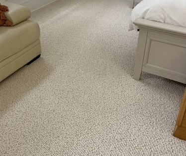 Sisal Wall to wall carpet in living room