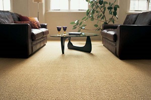 Wall to wall sisal carpet
